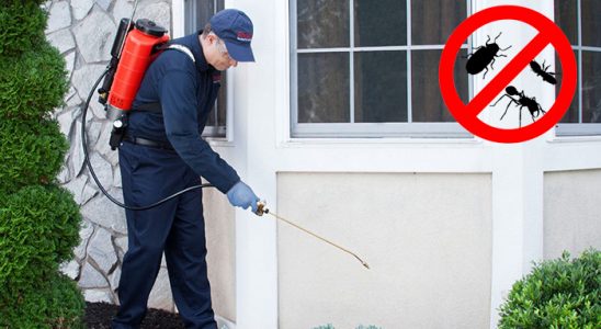 Ulubey Karınca İlaçlama böcek ilaçlama ve haşere kontrolü — ilaclama-tr.com